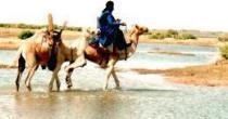 Durchquerung des Niger