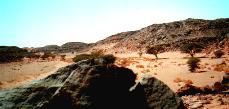 Das Wadi der Felszeichnungen