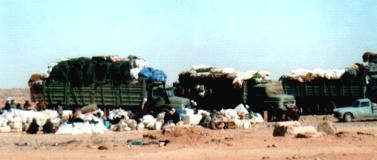Lkw-Endpunkt Sheba