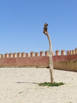 Meknes: Eingang zur Medina