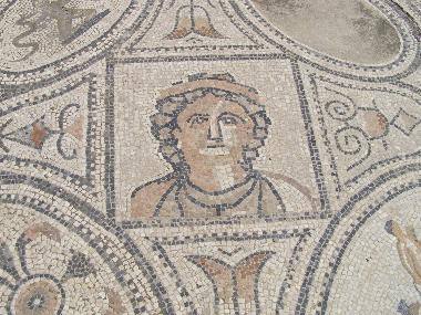 Volubilis: Bodenmosaik