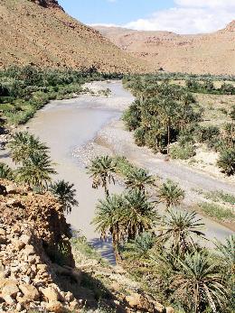 Oued Ziz