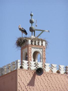 Marrakesch: Beim Bab Agnaoua