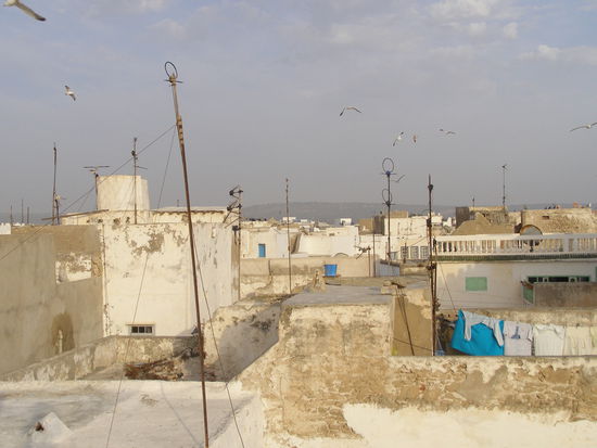 Über den Dächern von Essauira: