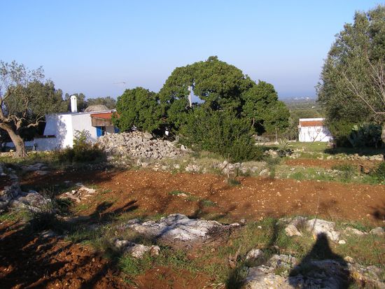 Apulien ist campagna-Land der