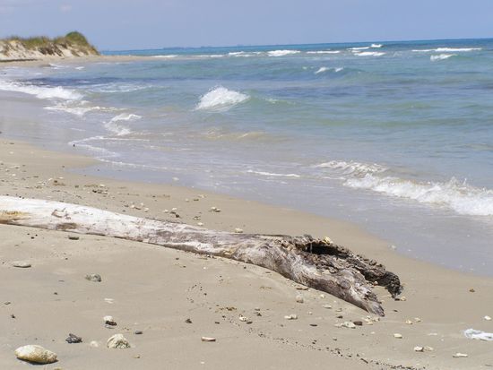 Sandstrand südlich von Ostuni
