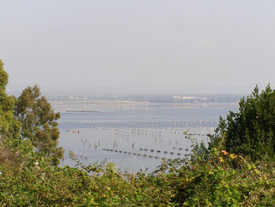Otranto: Muschelbänke
