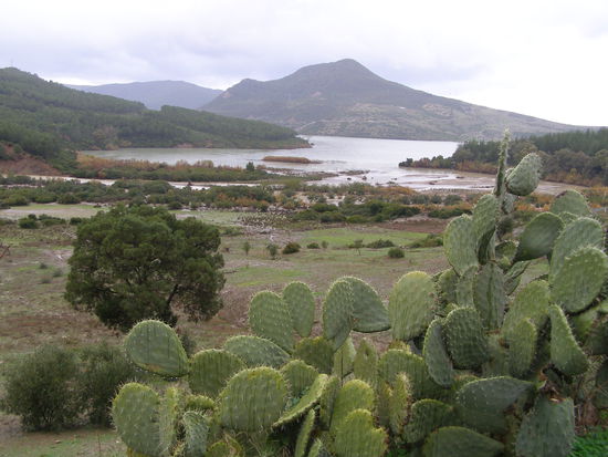Landschaft bei Chefchaouen