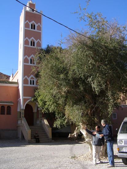 Igounane: Auskunft einholen