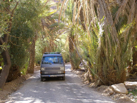 Bei Agard Oudad: Palmerie