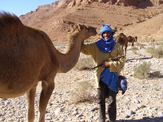 Oued Asif Issi. Berber mit Kamelherde