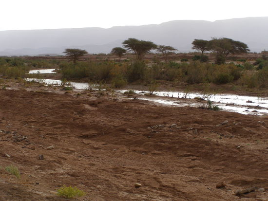 Oued Draa: unbefahrbare Pisten