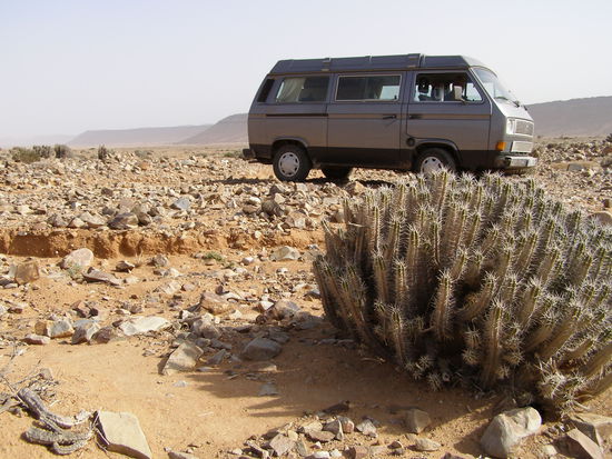 Oued Draa : steiniger Pistenabschnitt