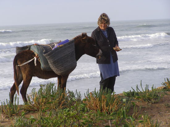 Atlantikküste bei Moulay-Bouzerktoum: