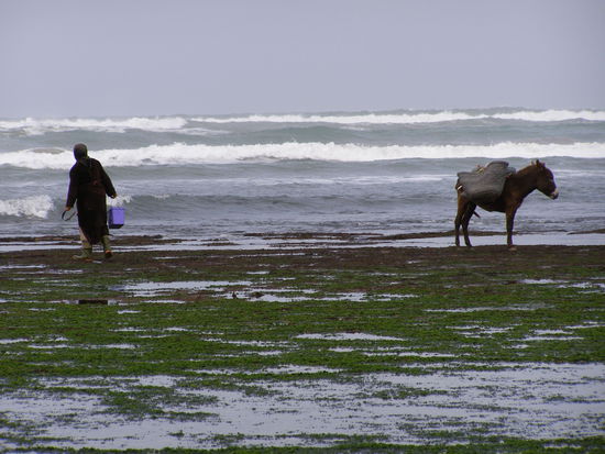 Bei Moulay-Bouzerktoum: Ebbe