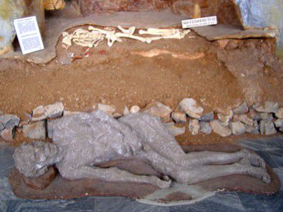 Im Museum von Petralona