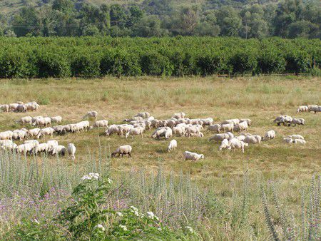 Landschaft im Norden Griechenlands