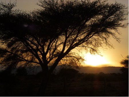 Sonnenuntergang beim Nationalpark Jebel Haddège