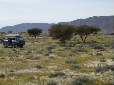 Beim Bou-Hedma-Nationalpark