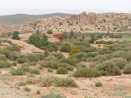 Bei Oum El Abouab