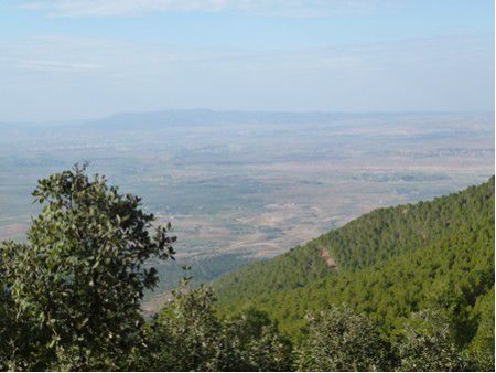 Im Nationalpark Djebel Chambi