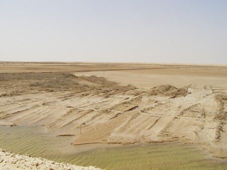 Schott El Jerid