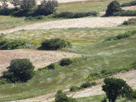 Daunische Berge: wogende Felder