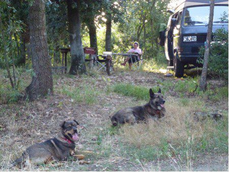 Monti Lepini: Picknickplatz