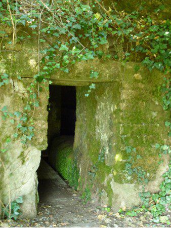 Tuscania: Tomba Regina