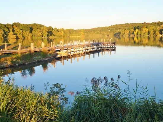 Belfort - Park Etang des Forges
