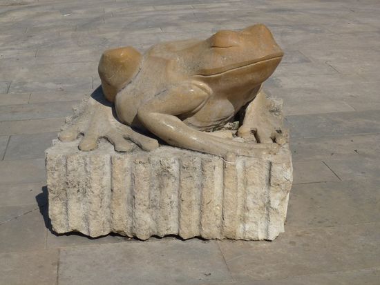 Avalon - der Frosch führt durch die Stadt