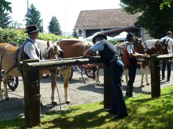 Markovic - M&amp;M-Gasthof