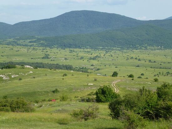 Unterwegs - Grasland