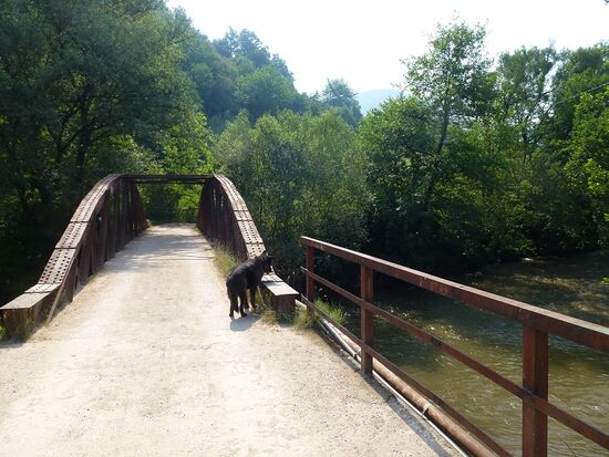 Visoko - Wolfi am Fluss