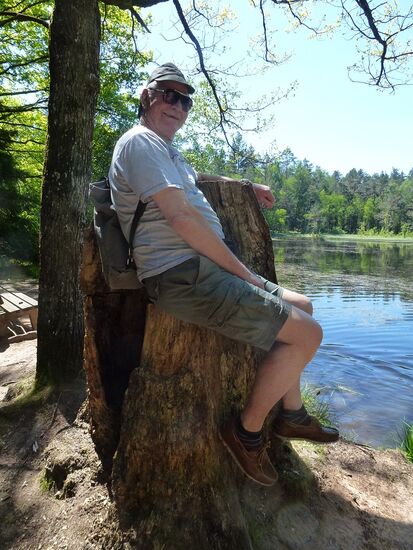 Sägmühlweiher in Ludwigswinkel