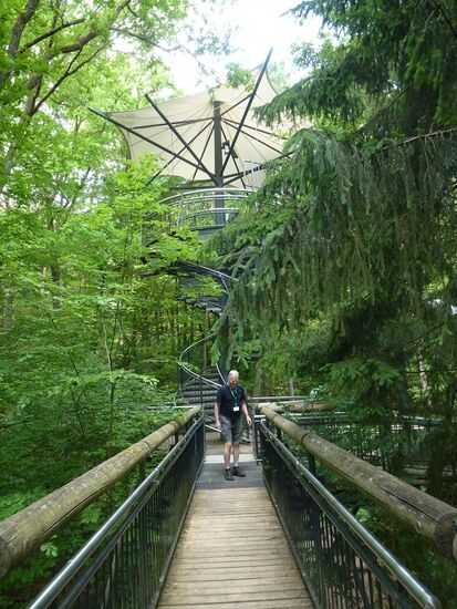 Wipfelpfad in Fischbach