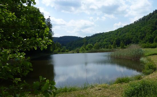 Rundwanderweg bei Fischbach