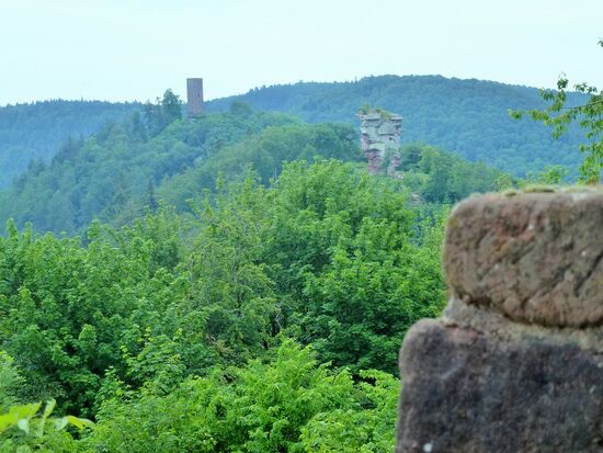 Blick von der Burg Trifels in den Pfälzerwald