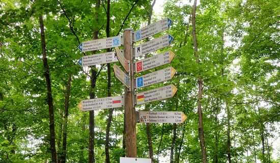 Wanderwege bei Schönau