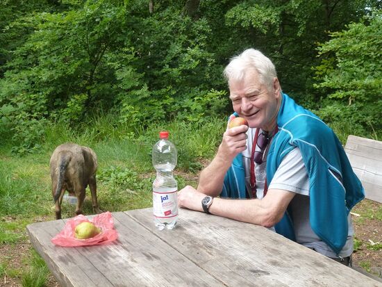 Brotzeit auf der Wegelnburg