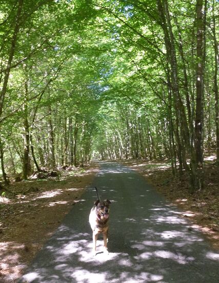 Ali on the Road again...