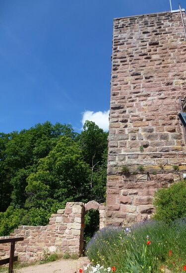 Ruine der Rietburg