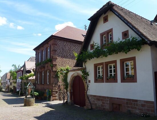 An der Pfälzer Weinstraße