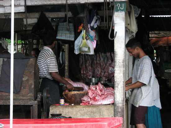 Jemand Lust auf lecker Schnitzel?