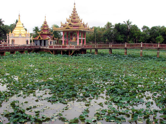 einfach mal ein Tempel, inmitten von Lotus
