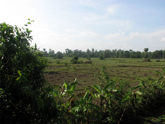 Landschaft auf dem Weg nach Thazi