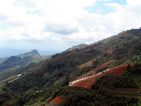 die beruehmten Terassenfelder Sapas