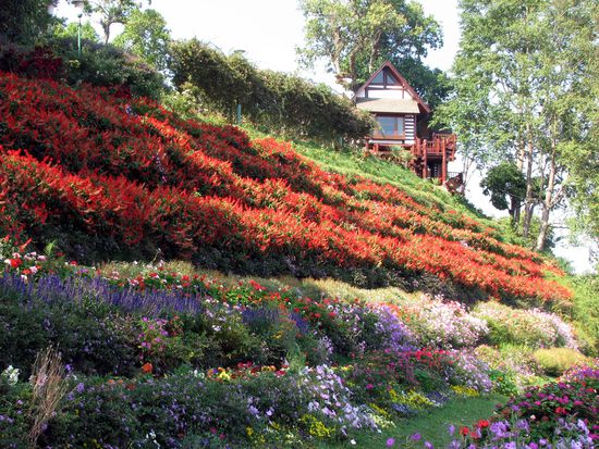 am Wasserreservoir...
(ja Koenig sein waer schon toll)