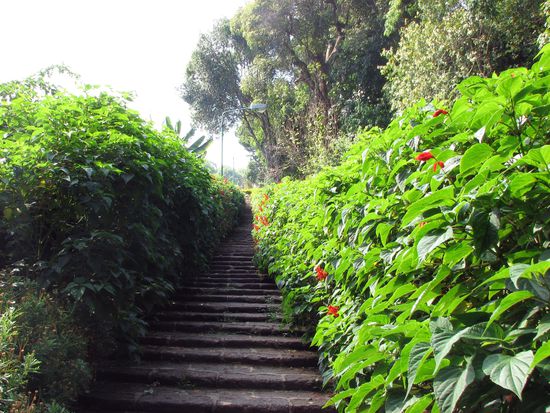 nur ne Treppe, die ich aber ganz huebsch fand