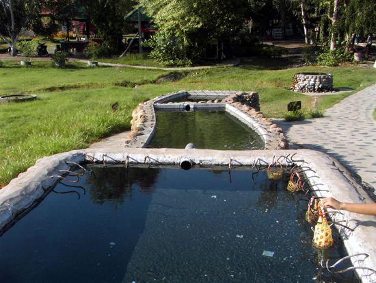 Das sind die Becken fuer die Eier in den lustigen Koerbchen
(warum die Leute ihre Eier nicht zu Hause kochen koennen weiss ich allerdings auch nicht)